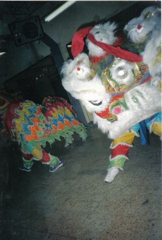 leones chinos